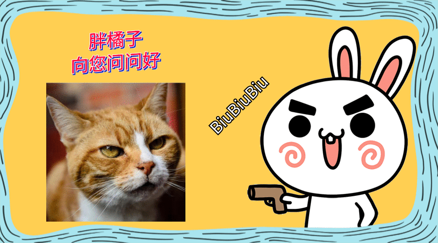 你这辈子可能见都见不到 这辈子没见过这么多猫