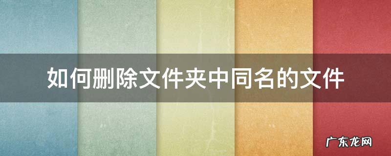 如何删除文件夹中同名的文件