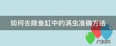 如何去除鱼缸中的涡虫准确方法