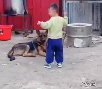 我也很害怕 孩子做错事哭着找家里狗狗告状