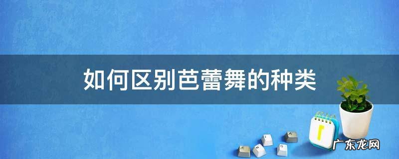 如何区别芭蕾舞的种类