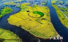 潼南油菜花地理位置怎么样,潼南油菜花什么时候开？