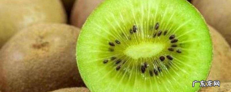 猕猴桃怎么算是熟了,猕猴桃怎样才算熟了