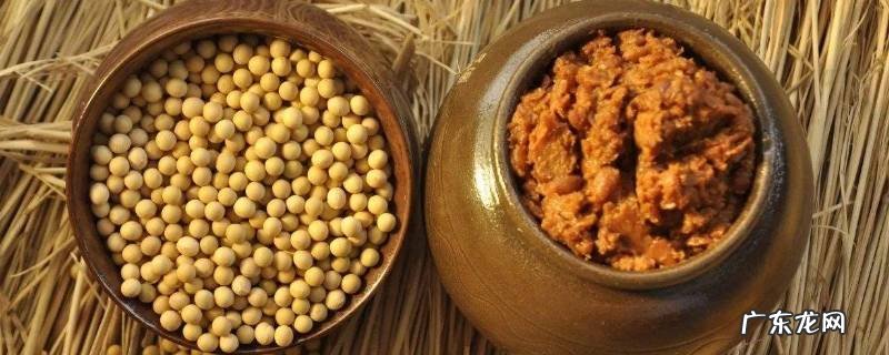 烧哪些菜需要放黄豆酱