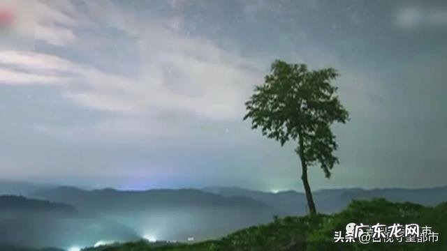 今夜有狮子座流星雨!
