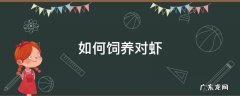 如何饲养对虾