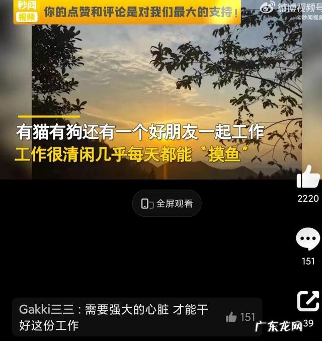 不影响社交 00后女孩晒守墓工作惹网友羡慕