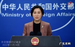 巴警方逮捕两名嫌疑人 中方回应“中企在巴诈骗被罚”