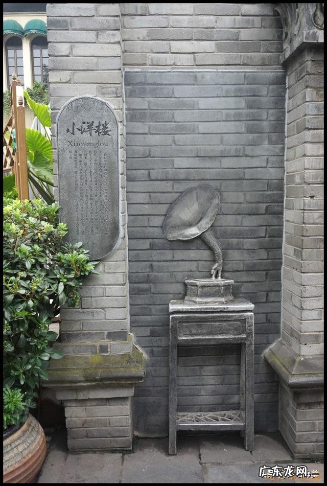 游中国大熊猫基地、成都宽窄巷子 夜视加热成像技术拍黑颈鹤夜晚睡姿