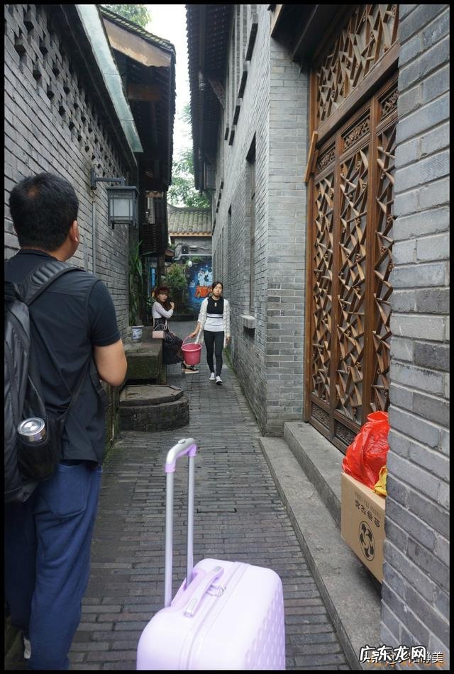 游中国大熊猫基地、成都宽窄巷子 夜视加热成像技术拍黑颈鹤夜晚睡姿