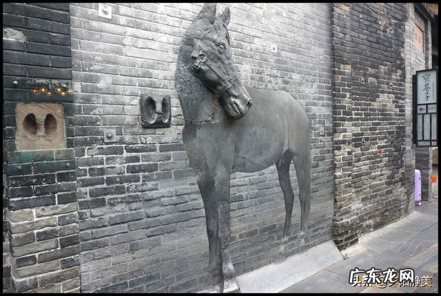 游中国大熊猫基地、成都宽窄巷子 夜视加热成像技术拍黑颈鹤夜晚睡姿