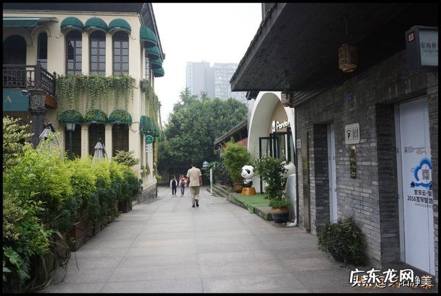 游中国大熊猫基地、成都宽窄巷子 夜视加热成像技术拍黑颈鹤夜晚睡姿