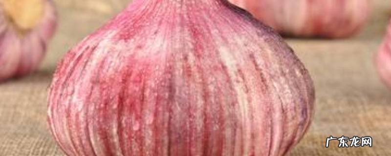 去皮大蒜瓣怎么保存