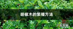 胡椒木的繁殖方法,胡椒木的繁殖方法和注意事项？