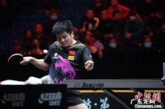 樊振东称不要把饭圈陋习带进竞技体育 樊振东呼吁球迷远离饭圈戾气