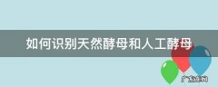 如何识别天然酵母和人工酵母