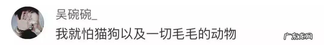 很多人就猫不离身了 第一次觉得猫好可怕