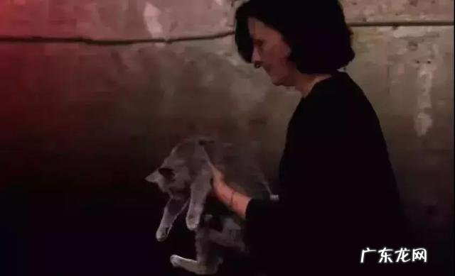 很多人就猫不离身了 第一次觉得猫好可怕