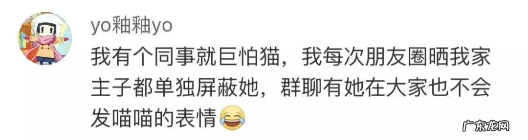 很多人就猫不离身了 第一次觉得猫好可怕
