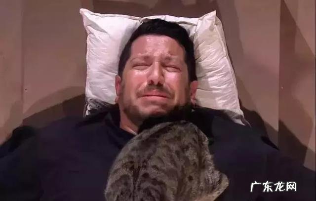 很多人就猫不离身了 第一次觉得猫好可怕