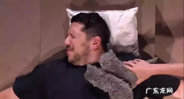 很多人就猫不离身了 第一次觉得猫好可怕