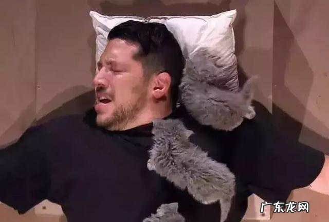 很多人就猫不离身了 第一次觉得猫好可怕