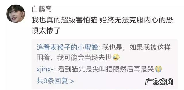 很多人就猫不离身了 第一次觉得猫好可怕