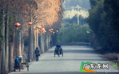 小寒是不是进九了,小寒就是进九吗？