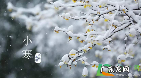 2020小寒是哪一天什么时间,今年小寒是几月几日?