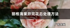 丽格海棠开完花后处理方法,丽格海棠花朵焦边？