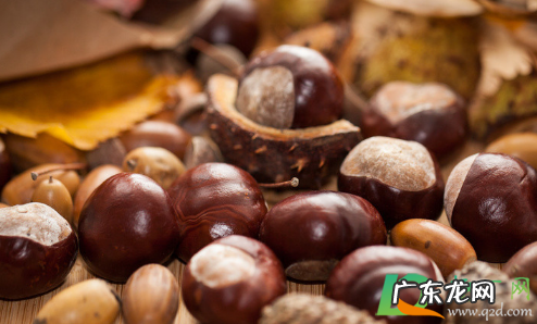 板栗风干了怎么保存,怎样制作风干板栗?