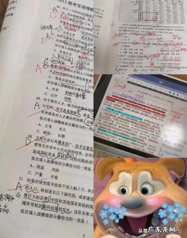 女子“托关系”找工作 事业编可托人办理官方回应