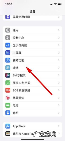 苹果13怎么换全套主题的软件,苹果手机想换可爱图标?