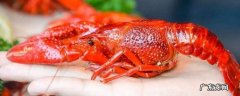 龙虾去虾线肉会散吗,龙虾去掉虾线肉松了