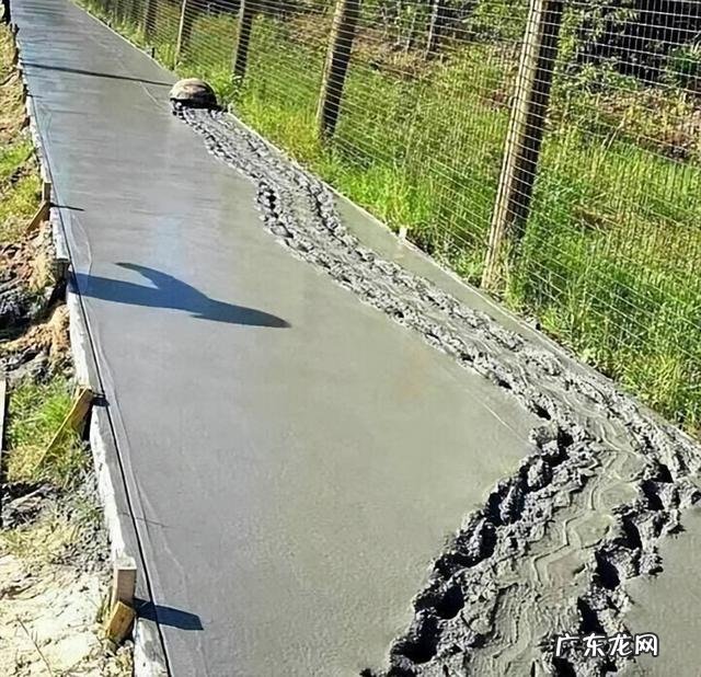 那些有钱人我不知道你们到处跑什么 原来有钱人也有不快乐的时候