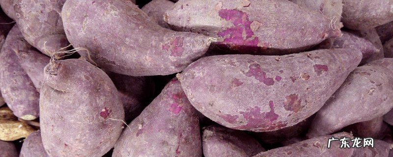红薯一年四季都有吗 紫薯一年四季都有吗