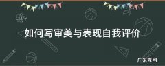 如何写审美与表现自我评价