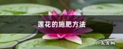 莲花的施肥方法，莲花不施肥行吗,五种佛教莲花？