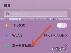 iqoo怎么关闭5G网络,系统升级了5G开关找不着了？