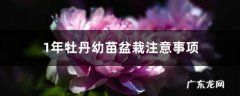 1年牡丹幼苗盆栽注意事项，幼苗几年开花,牡丹花盆栽家养方法？