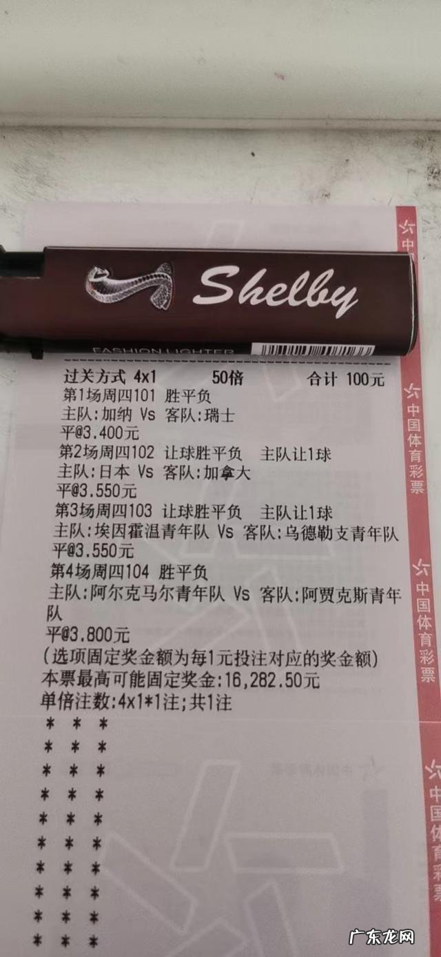 塞内加尔队 荷兰队 2:0 击败塞内加尔队
