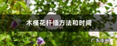 木槿花扦插方法和时间,木槿花怎样扦插成活率高？