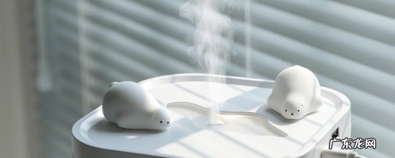 加湿器费电吗,加湿器耗电吗