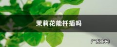 茉莉花能扦插吗，茉莉花什么时候扦插