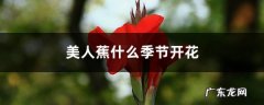美人蕉什么季节开花,美人蕉花图片大全？