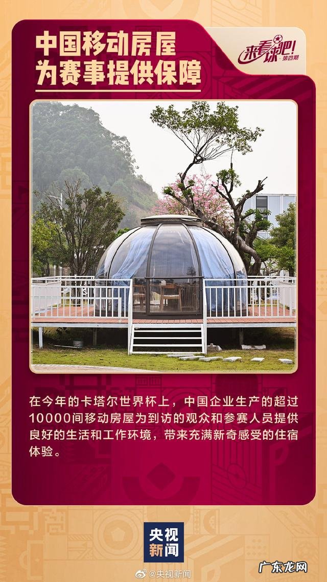 中国元素闪亮世界杯 卡塔尔世界杯中国元素抢眼