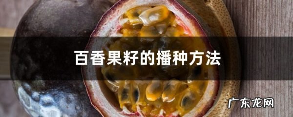 百香果籽的播种方法,晒不到太阳能结果吗,百香果籽什么时候播种?