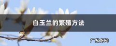 白玉兰的繁殖方法,玉兰花扦插生根最快方法？