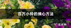 百万小铃的摘心方法,重瓣百万小铃？