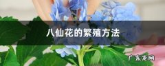 八仙花的繁殖方法,八仙花和绣球花的区别？